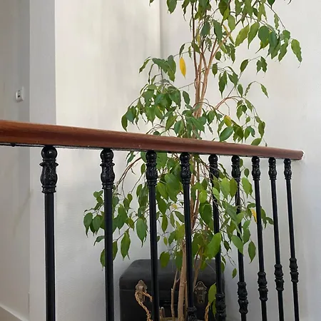 Διαμέρισμα Maison De Charme Neuf Hyper Centre Μπορντό