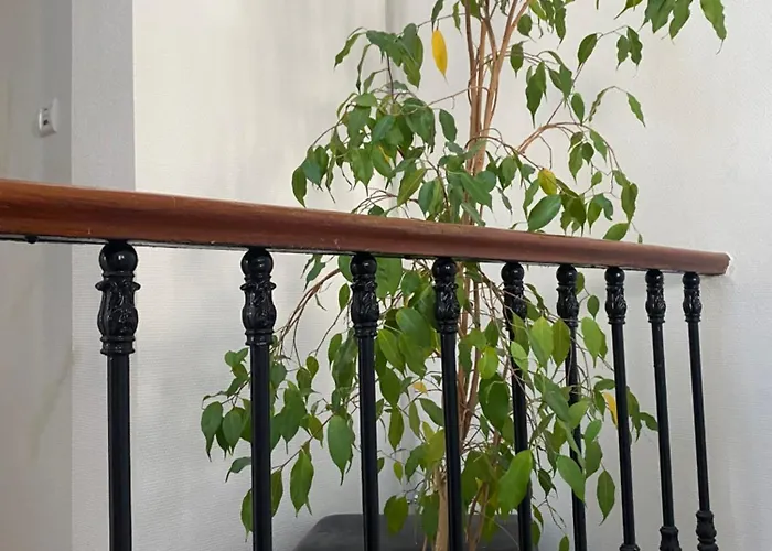 Apartman Maison De Charme Neuf Hyper Centre Bordeaux